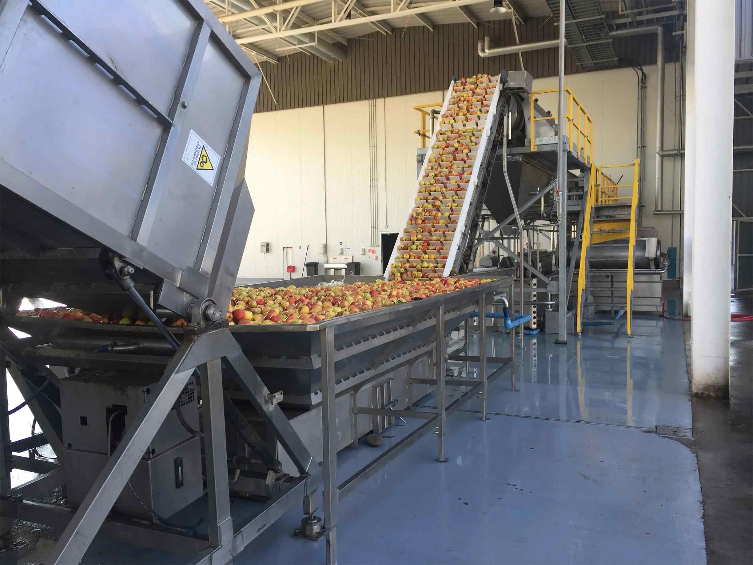 vegetable processing machine