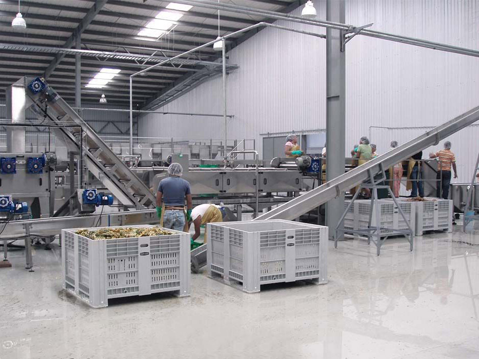 fruit processing machinery