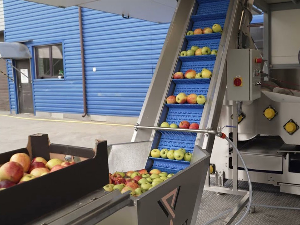 fruit processing equipment