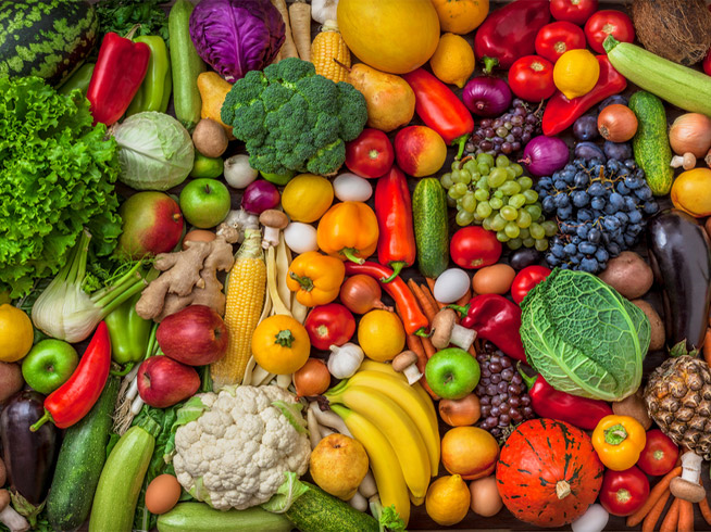 vegetable processing equipment