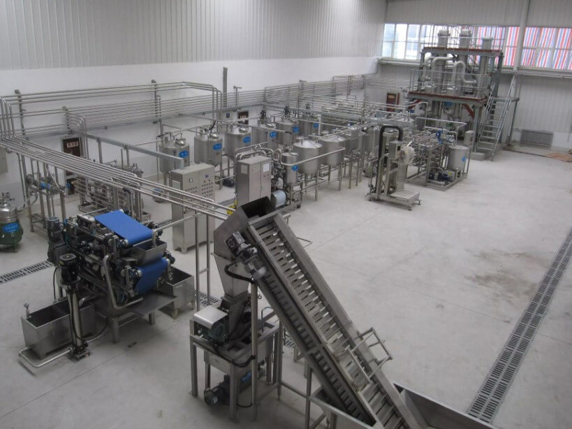vegetable processing line