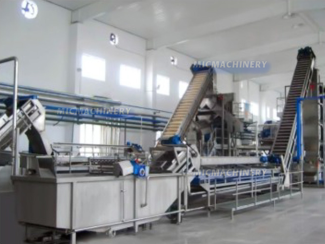 Berry juice making equipment