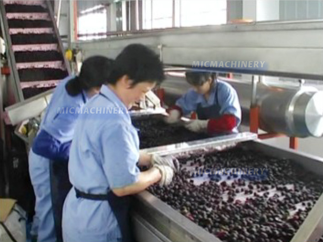 Grape juice production line