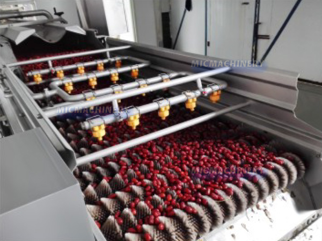 Date Special Fruit Processing Solutions