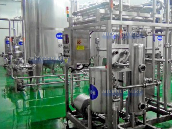 Special Fruit Processing Solutions