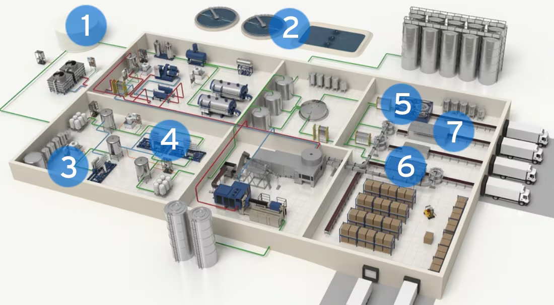 Complete beverage processing line layout