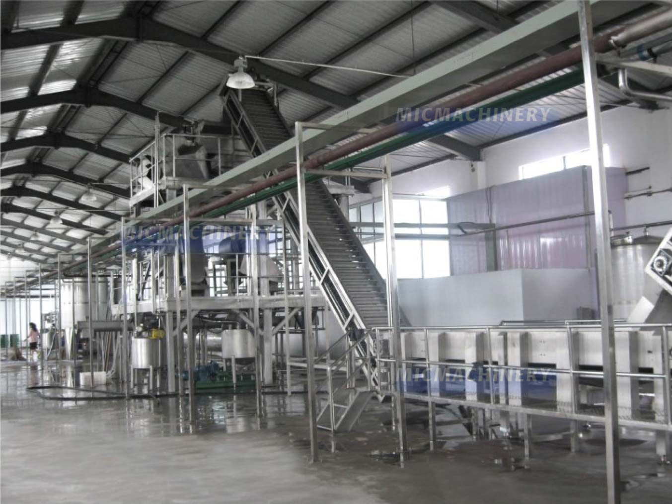 fruit processing machine