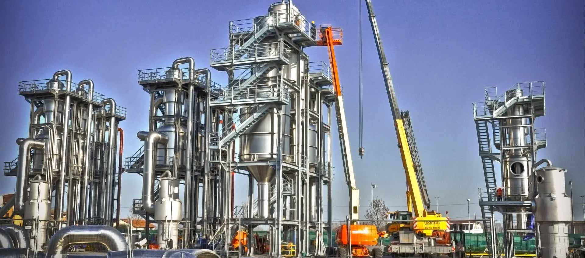 fruit and vegetable processing plant
