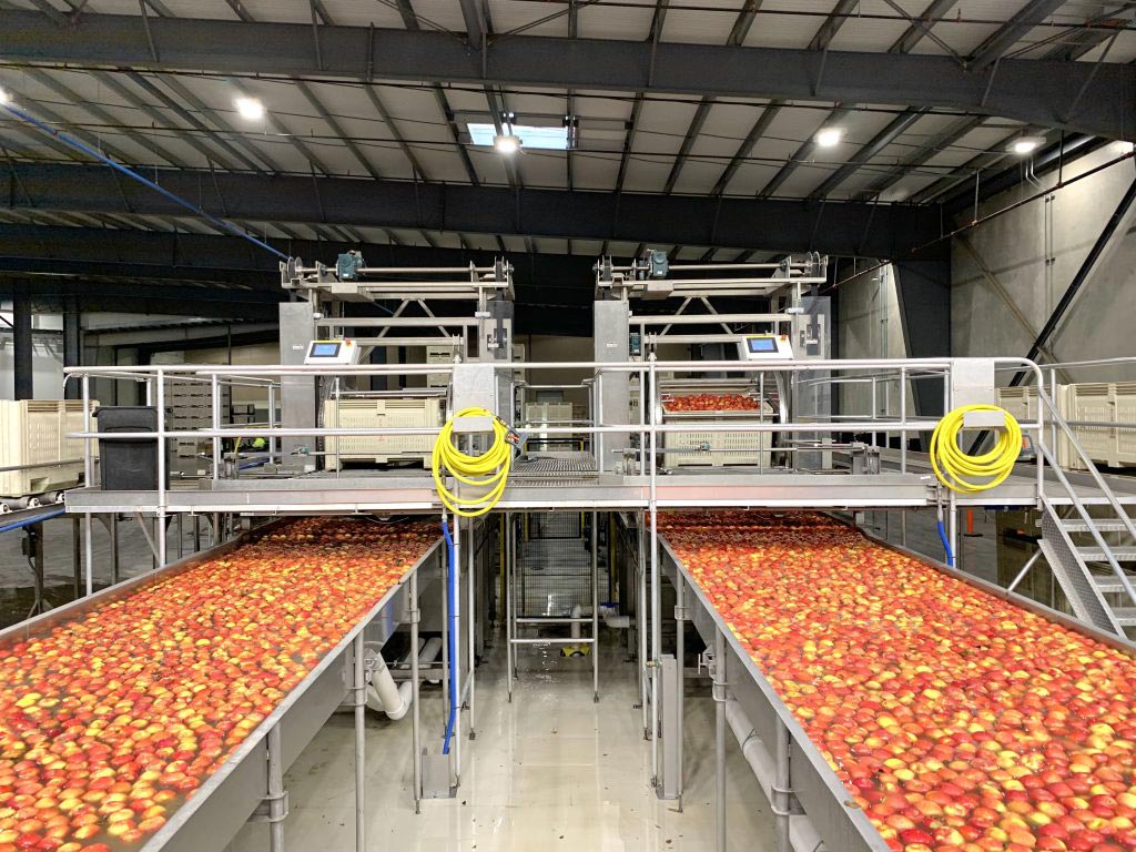 fruit processing equipment
