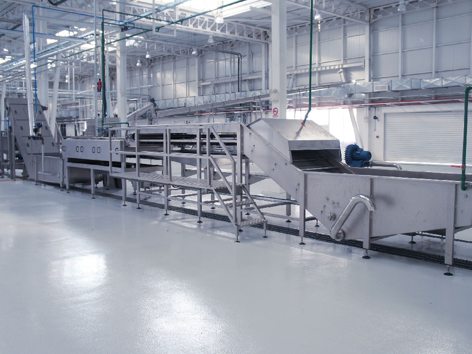fruit processing machine