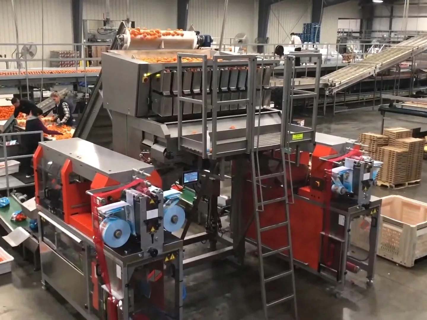 fruit and vegetable processing