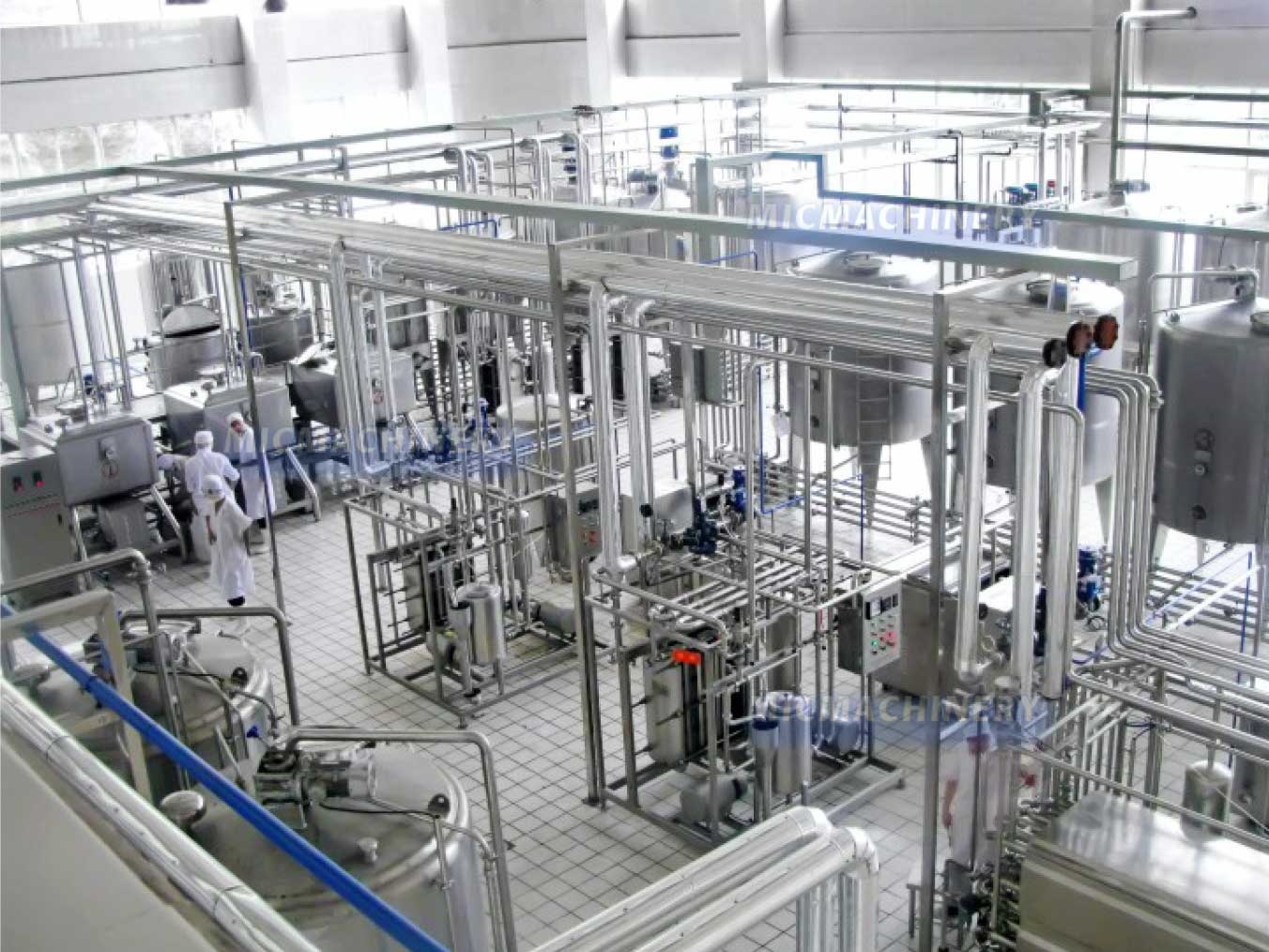 Vegetable Milk And Grain Milk machine