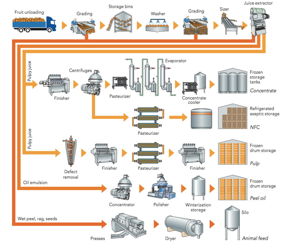 fruit processing