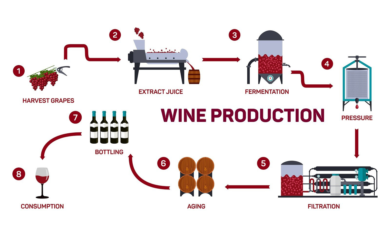 wine production process