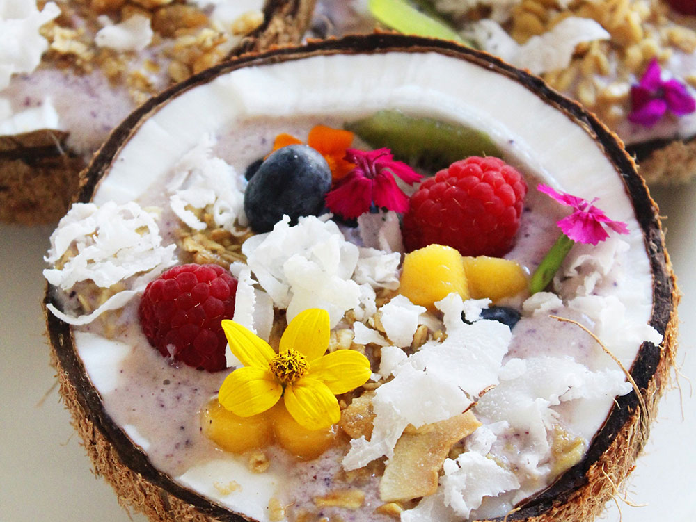 coconut yogurts