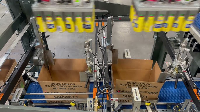 Case Packing Machines
