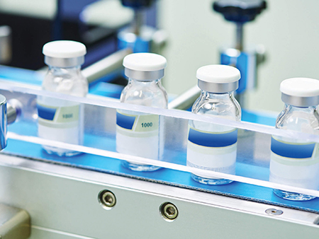 Pharmaceutical Filling Machine Conveyer Belt