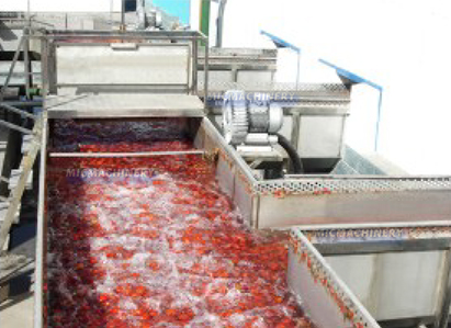 tomato processing complete line