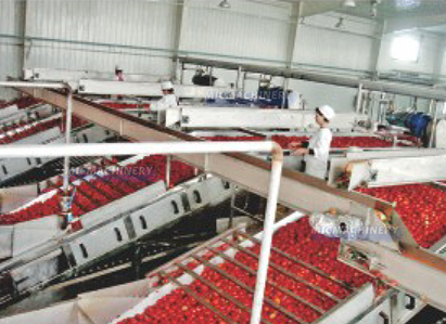 tomato processing complete line