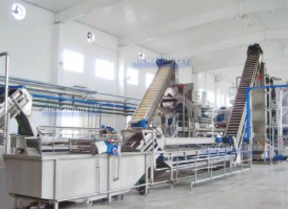 food processing line for tomato