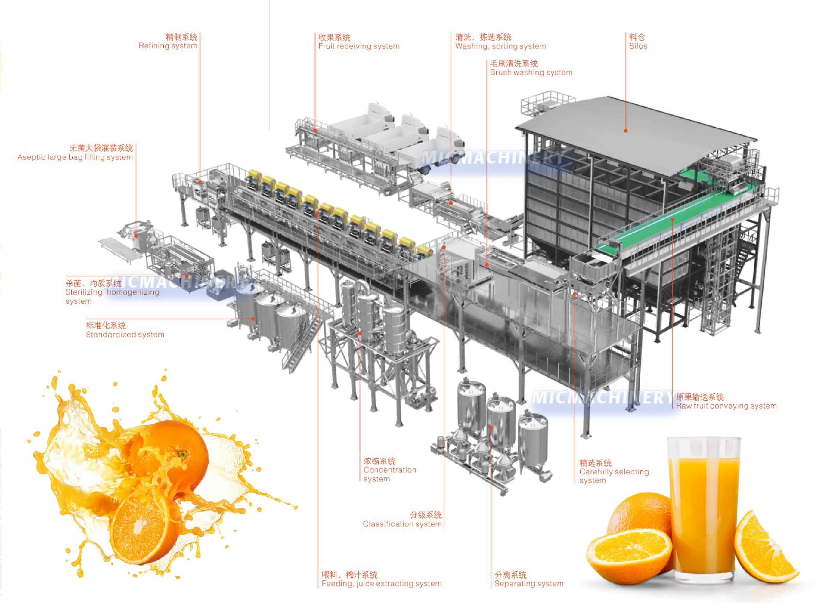 Citrus Fruit Processing Line