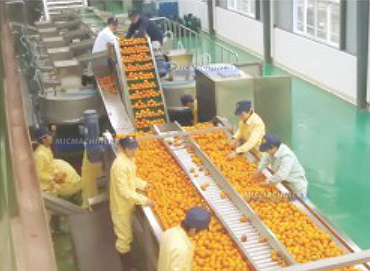 orange juice production line