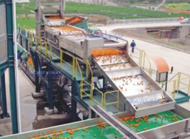 orange juice production line