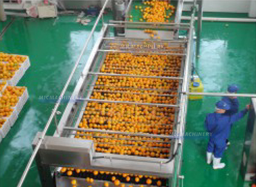 orange juice production line