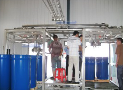 pear processing machine and production line