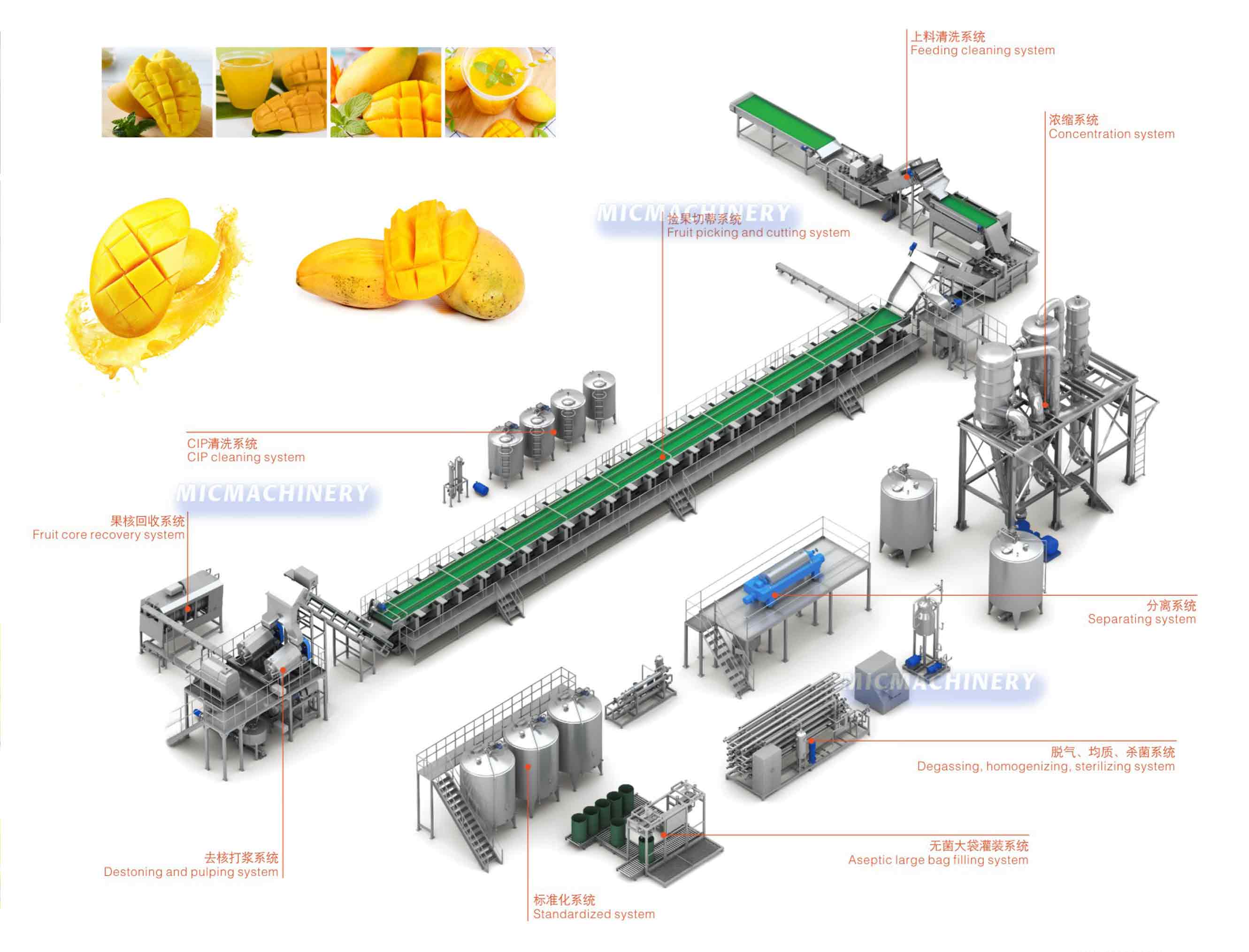 Mango Fruit Processing Line
