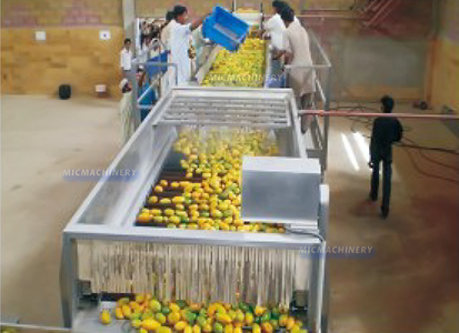 Mango Fruit Processing Line