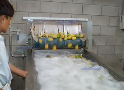 mango juice production line