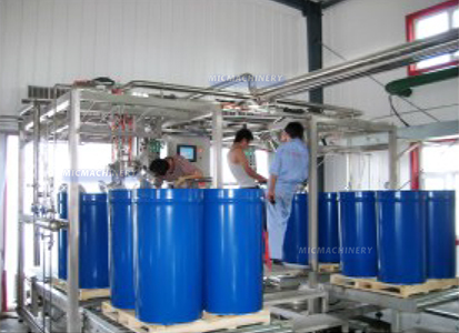 mango processing machine and production line