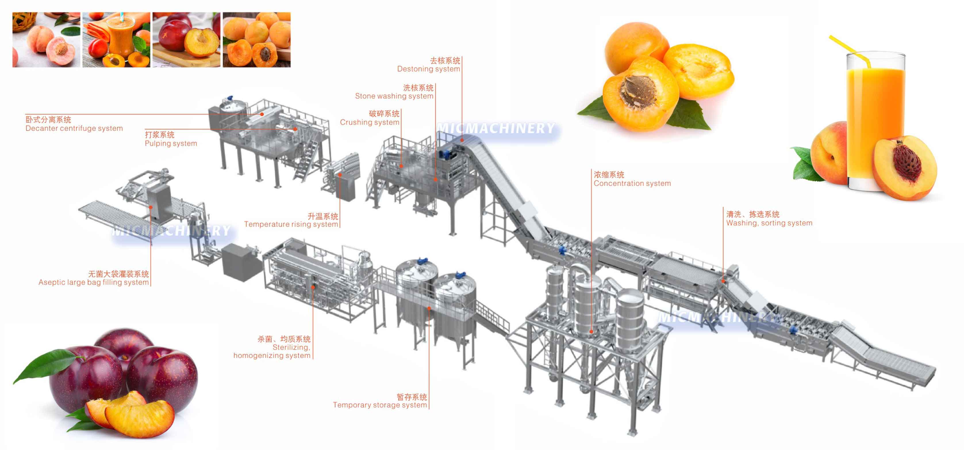 Peach Apricot Plum Fruit Processing Line