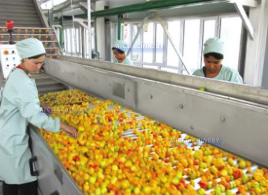 peach juice production line