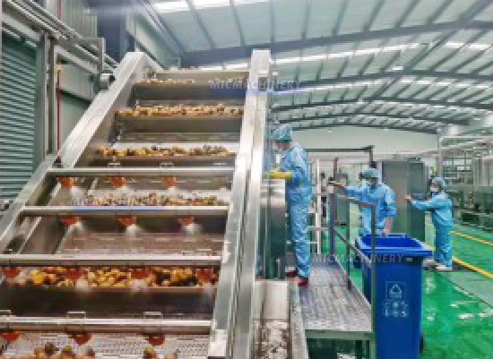 peach juice production line