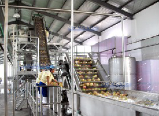 peach juice production line