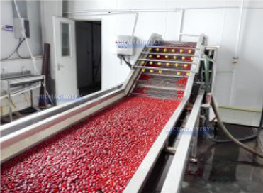 Date jujube hawthorn fruit processing line