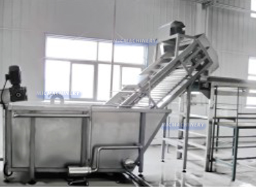 Date jujube hawthorn fruit processing line