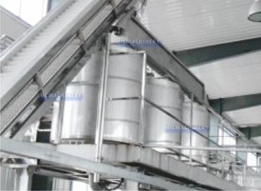 Date jujube hawthorn fruit processing line