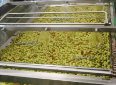 date processing line