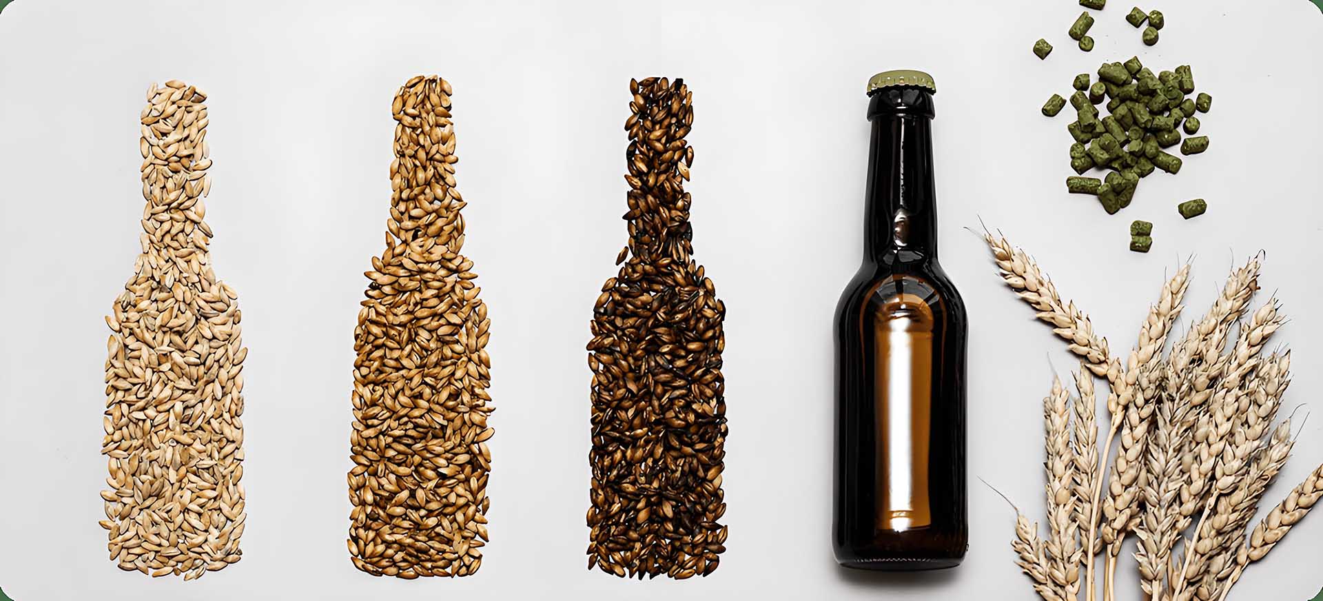 What Is a Malt Beverage