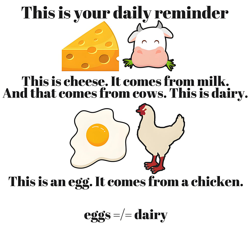 Are Eggs Dairy