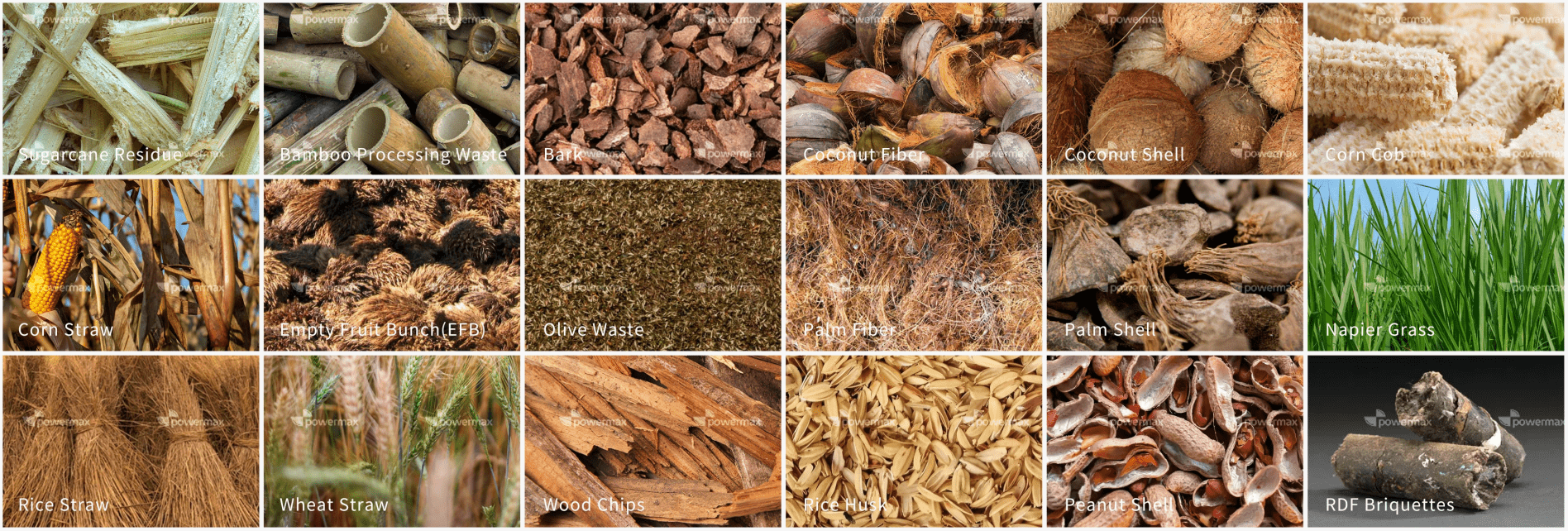 Biomass feedstocks for gasification including wood chips, rice husk, coconut shell and agricultural residues